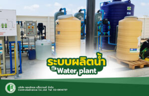 ออกแบบติดดั้งระบบน้ำ Water Plant